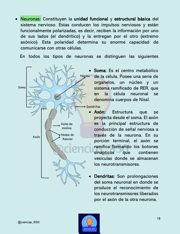 Libro de Biología